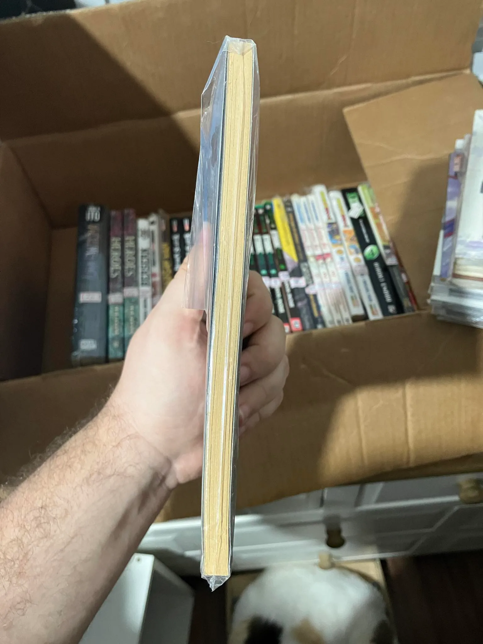 Psychic Detective Yakumo